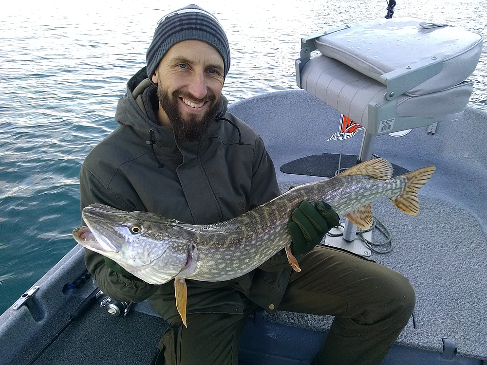 Brochet de Serre-Ponçon pris au leurre.