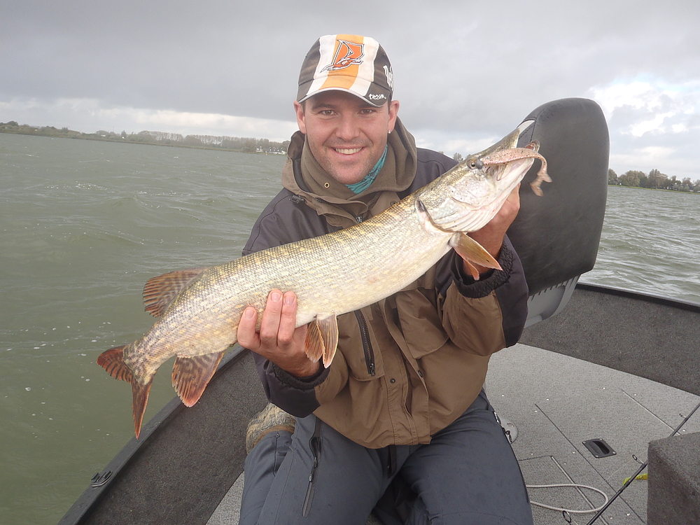 Brochet 80 cm au leurre souple.