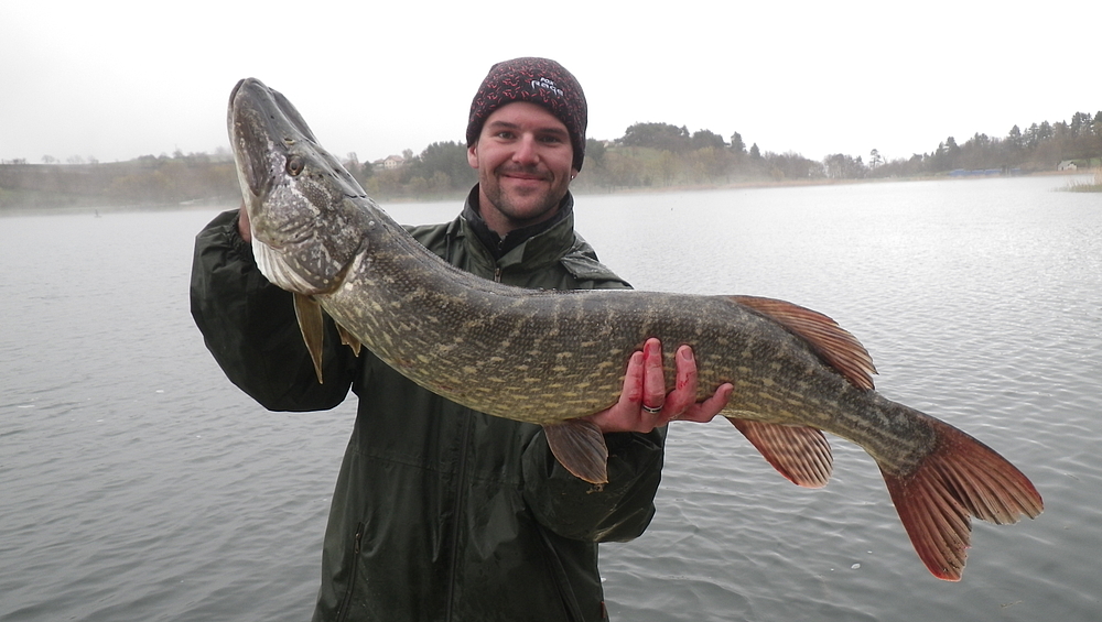 Brochet 106 cm au leurre.