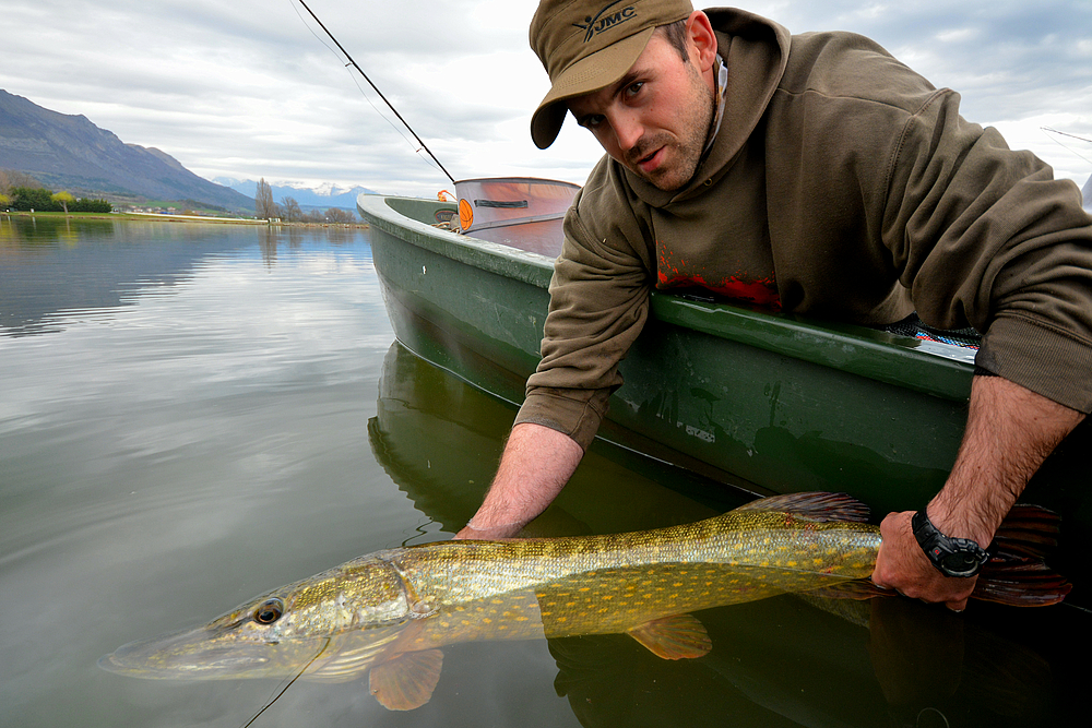 Brochet 102 cm au streamer (Photo article magazine "Pêche mouches" Juillet / Août 2016).